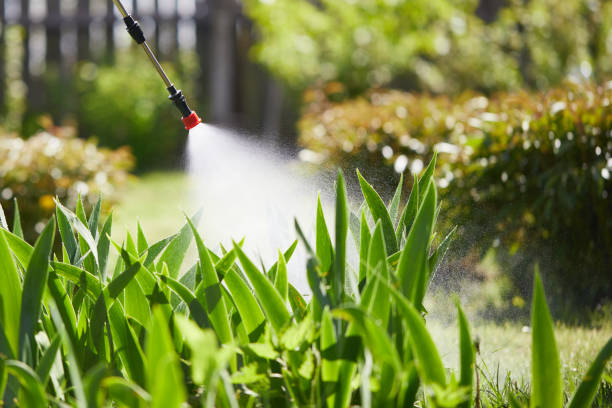 24/7 Emergency Wasp Removal experts in Dennison, OH